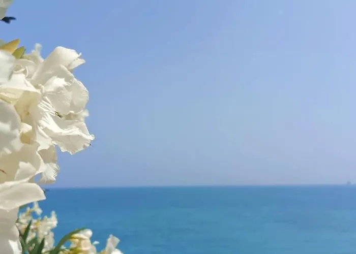 Torre Alacant * 알리칸테