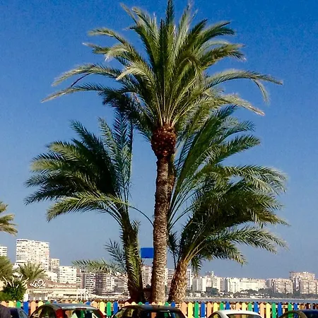Apartamento Torre Alacant Alicante